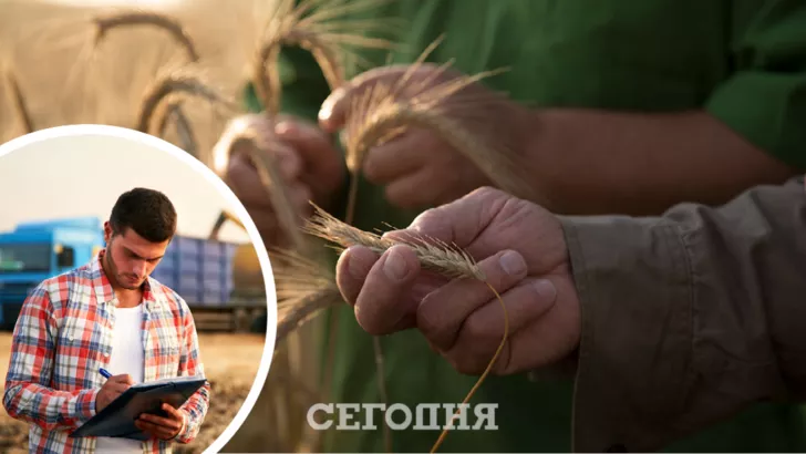 Зерно в Украине снова изменилось в цене