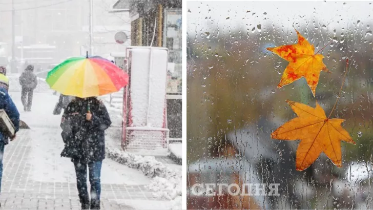 Погода в Украине на 23 ноября  / Коллаж "Сегодня"