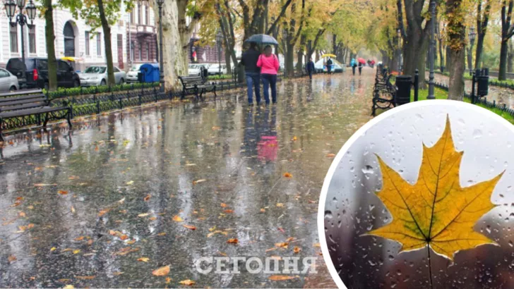Погода в Киеве на 23 ноября / Коллаж "Сегодня"