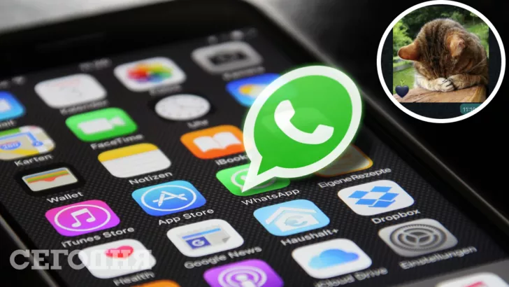 WhatsApp разрешит создавать стикер прямо в чате