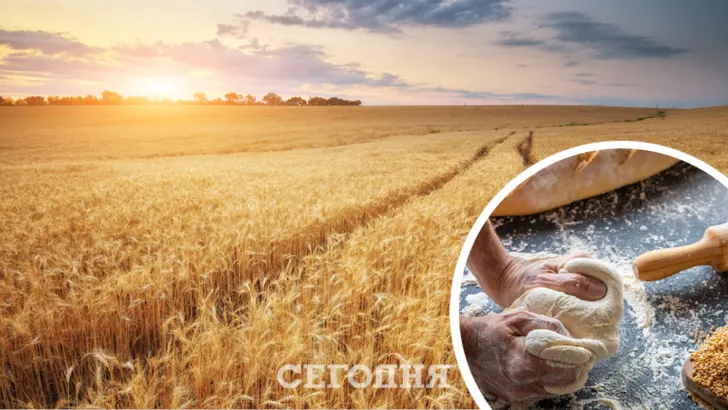 Зерно в Украине растет в цене