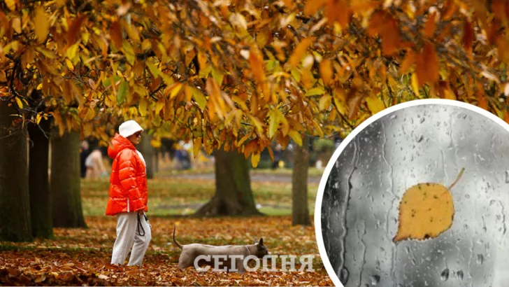 Погода в Киеве на 27 ноября / Коллаж "Сегодня"