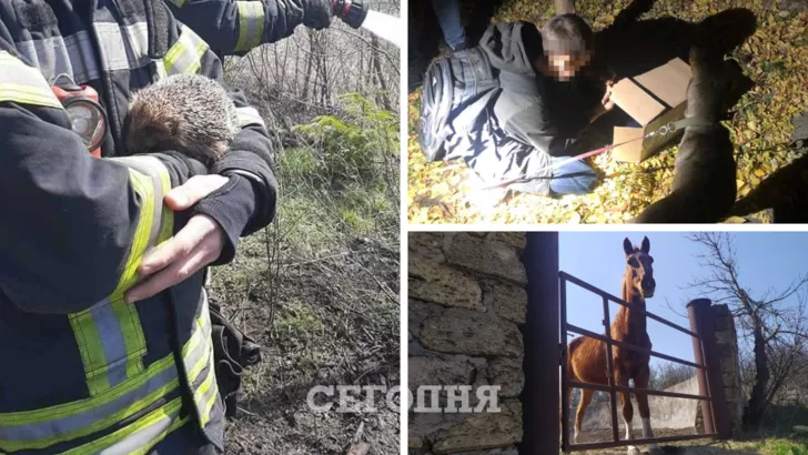 Как украинцы спасали животных