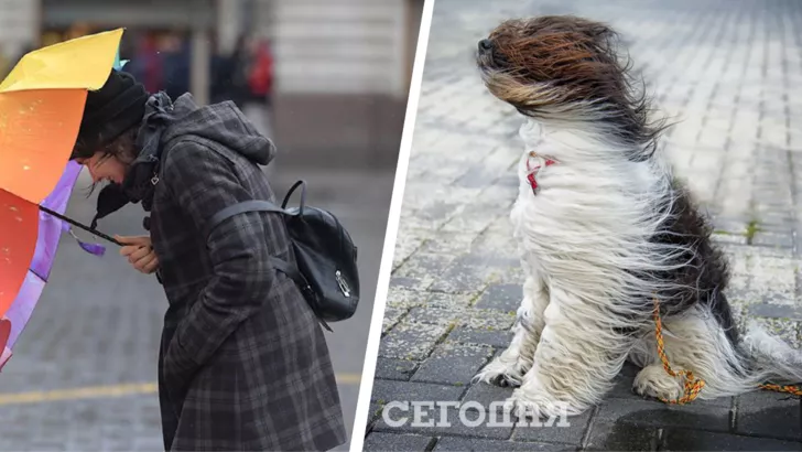 В Украине будет сильный ветер. Фото: коллаж "Сегодня"