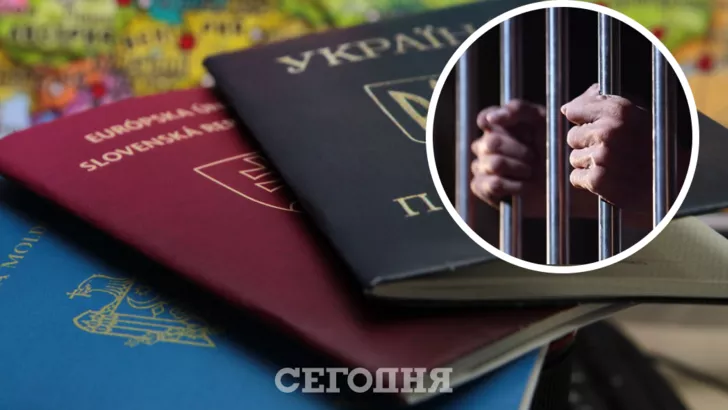 Политиков будут сажать в тюрьму за сокрытие еще одного паспорта