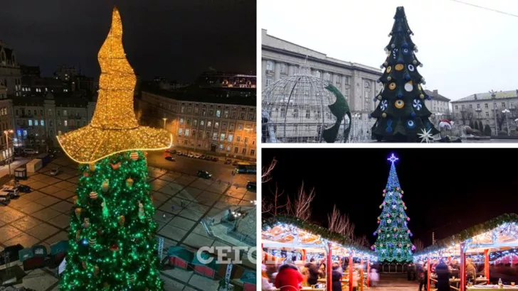 Из-за новогодних елок украинцы не раз спорили в Сети