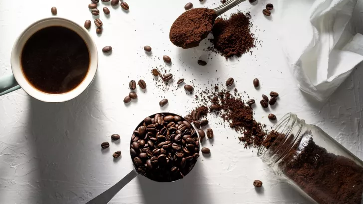 Кофе помогает против рака, пить следует не более 3-4 средних чашек в день