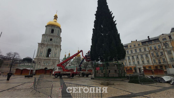 На Софийской площади появилась елка | Фото: Сегодня