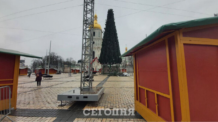На Софийской площади появилась елка | Фото: Сегодня