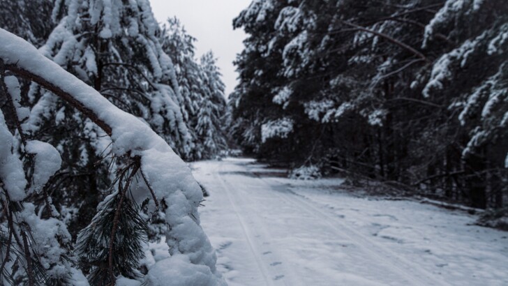 Чорнобиль замело снігом. Фото: Катерина Корепанова