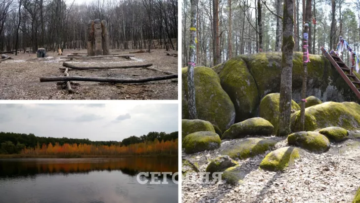 В Украине есть три таинственных леса