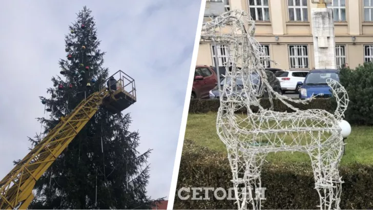 Областную елку начали украшать на Закарпатье. Фото: коллаж "Сегодня"