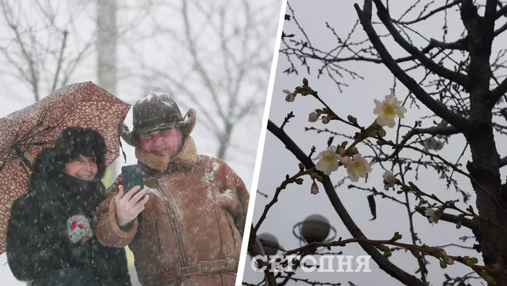 В Киеве зацвели деревья в декабре