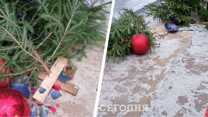 В Житомире произошло ЧП возле новогодней елки. Фото: коллаж "Сегодня"
