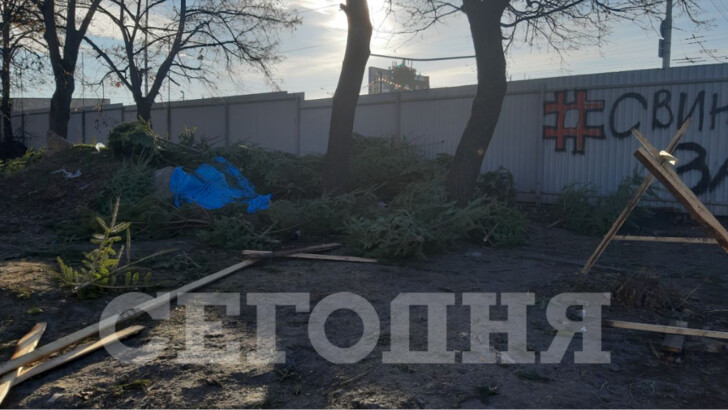 У Києві не продані ялинки після Нового року кинули на вулицях | Фото: Сьогодні