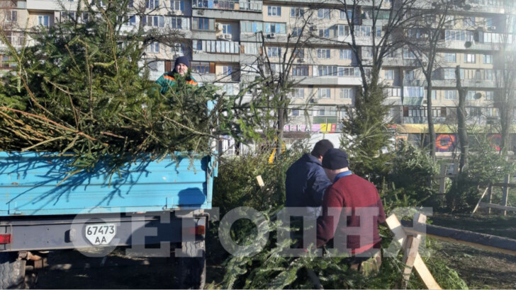 У Києві не продані ялинки після Нового року кинули на вулицях | Фото: Сьогодні