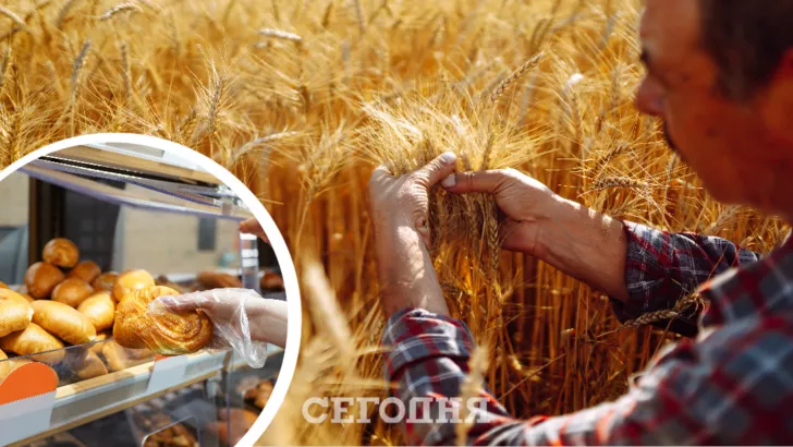 В Украине подешевело зерно