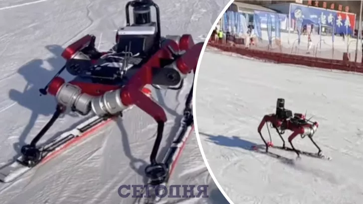 Двухметровая собака-робот отправится на соревнования по лыжному спорту