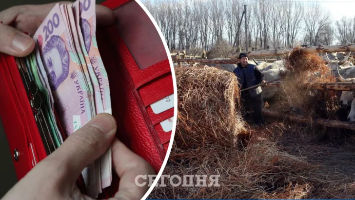 Какая цена на сено в Украине