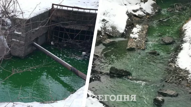 В Киеве позеленела река