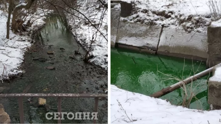 Річка Сирець у Києві стала зеленим.