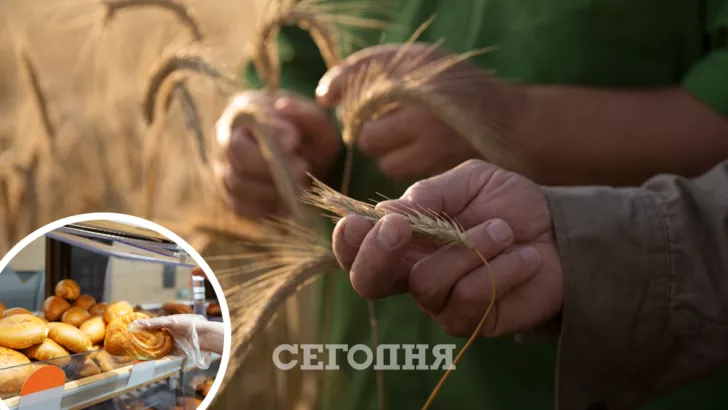 Зерно в Україні дорожчає, але незначними темпами