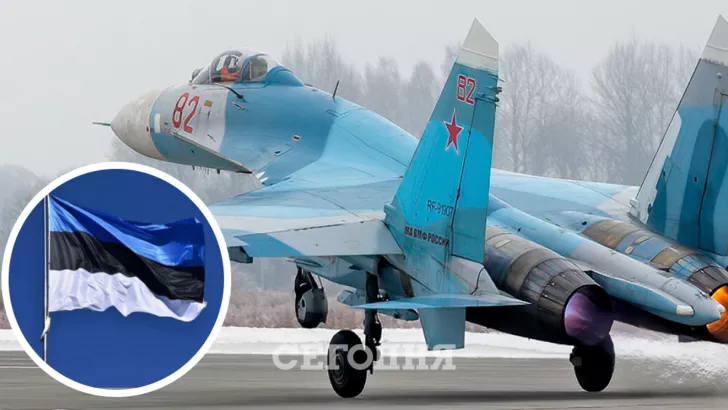 Российский Су-27 пересек воздушную границу Эстонии