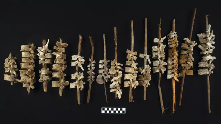 Жуткая находка археологов была обнаружена в Перу. Фото: Antiquity