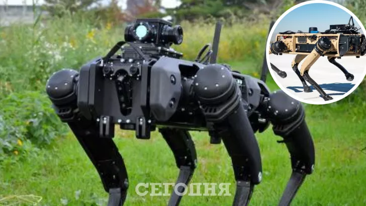Robot dogs will be sent to the border with Mexico