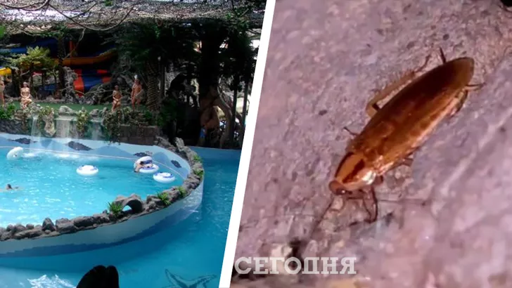 В аквапарке "Джунгли" живут тараканы