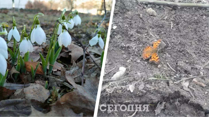 В Одессе уже настоящая весна. Фото: Думская/Новини.LIVE Odesa.