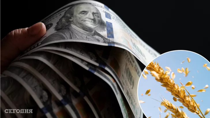 Что происходит с ценами на пшеницу из-за войны в Украине