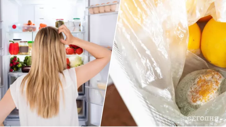 Спасти продукты в холодильнике, если отключили свет поможет лед и заморозка еды заранее