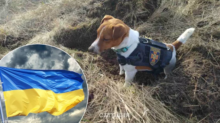 Пес Патрон на службе украинских спасателей