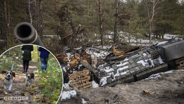 Украинцев предупредили об опасности нахождения в леса в условиях войны