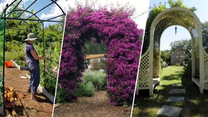 Идеи садовых арок для создания уютного уголка в вашем саду