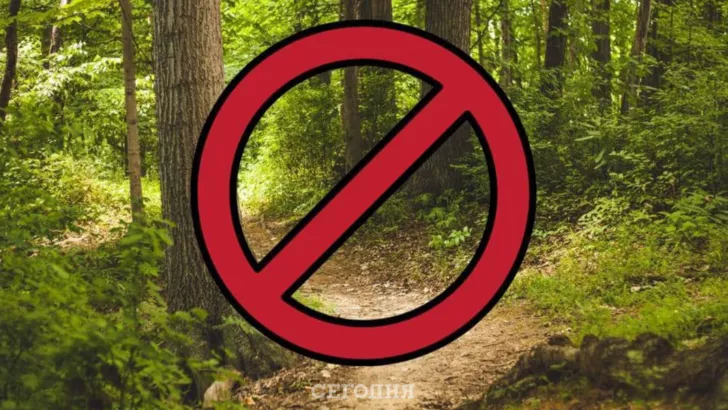 В Киевской области гражданским запрещено ходить в лес