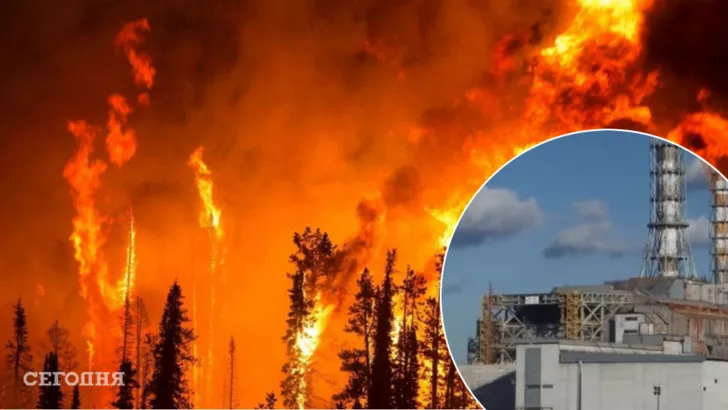 Леса горят возле Чернобыльской АЭС / Коллаж "Сегодня"