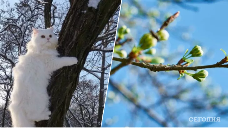 Початок другого місяця весни в Україні буде багатим на опади у вигляді дощу і навіть мокрого снігу. Колаж "Сьогодні"