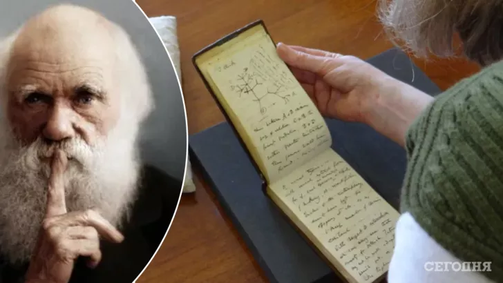 Неизвестный вернул блокноты Дарвина спустя 20 лет