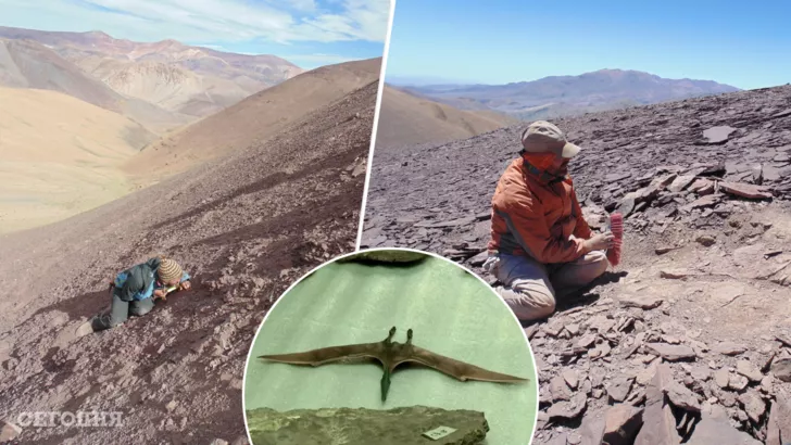 В Чили нашли кладбище древних летающих рептилий