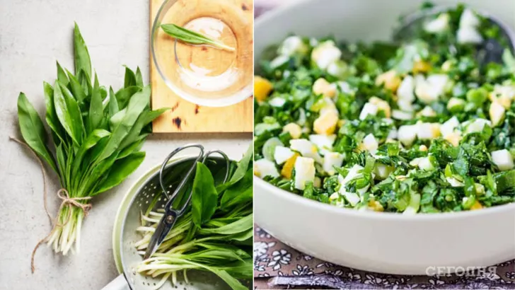 Лесной салат – черемша полезна для иммунитета, сердца, сосудов кожи, а вкусно приготовить ее можно с яйцом и другой зеленью