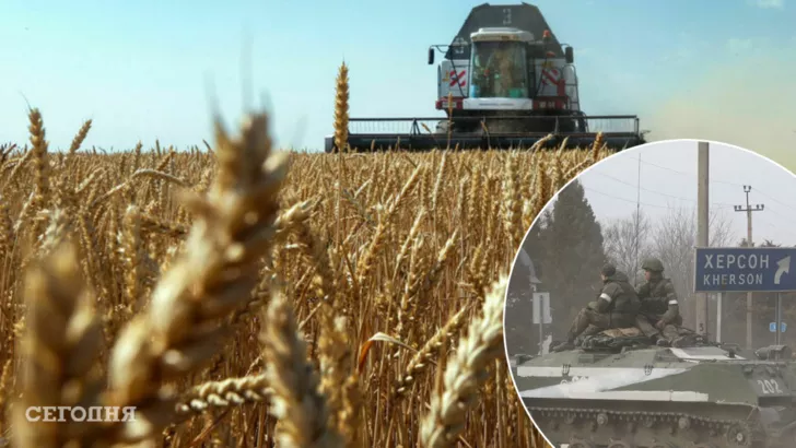 Депутати до РФ закликали вивозити зерно з окупованих районів. Фото: колаж "Сьогодні"