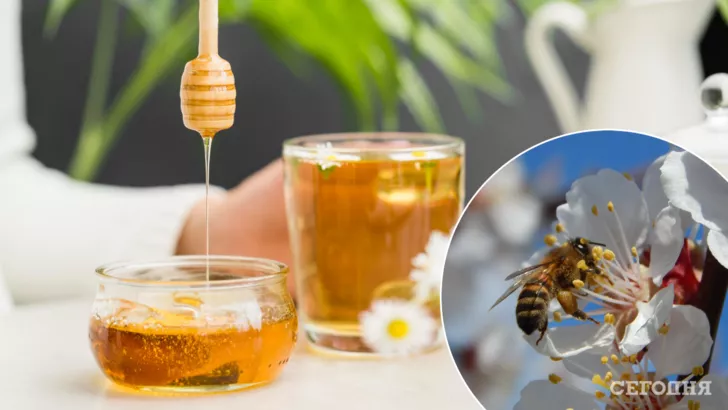 Як легко перевірити якість меду