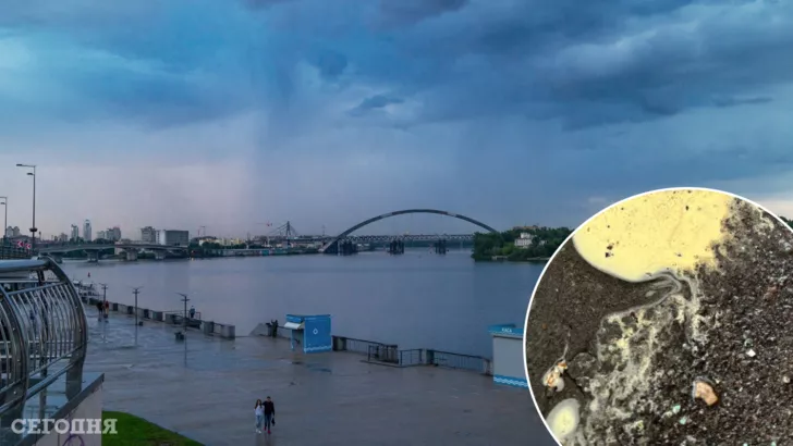 Киевлян обеспокоили желтые пятна после дождя