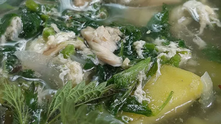 Рецепт супу з кропивою та куркою