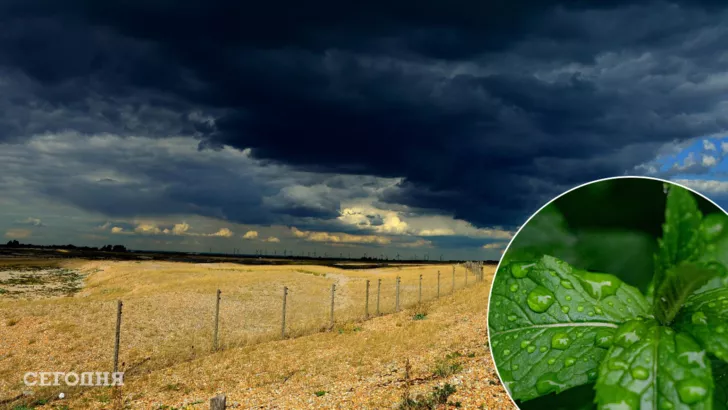 В Україні прогнозують дощі/Фото: Pixabay, колаж: "Сьогодні"