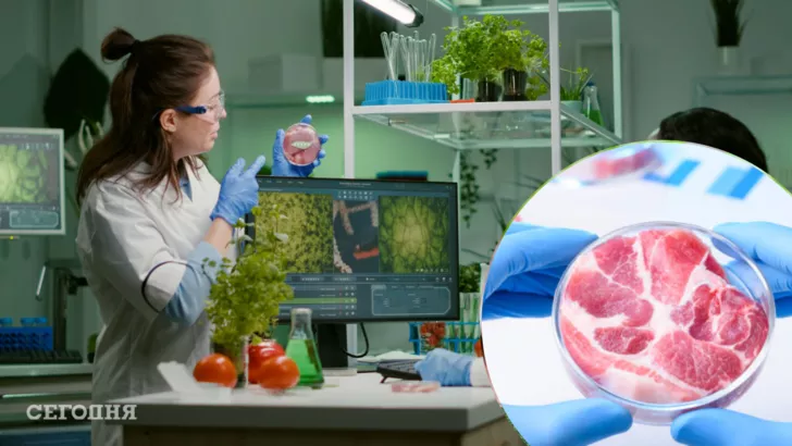 США хочуть вирощувати штучне м'ясо в біореакторах і вже будують фабрику