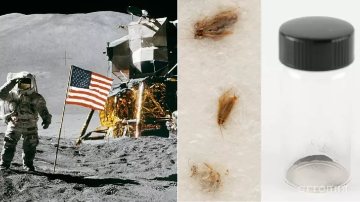 Мертвые тараканы и лунная пыль: такие необычные раритеты из «Аполлона-11» выставлены на аукцион