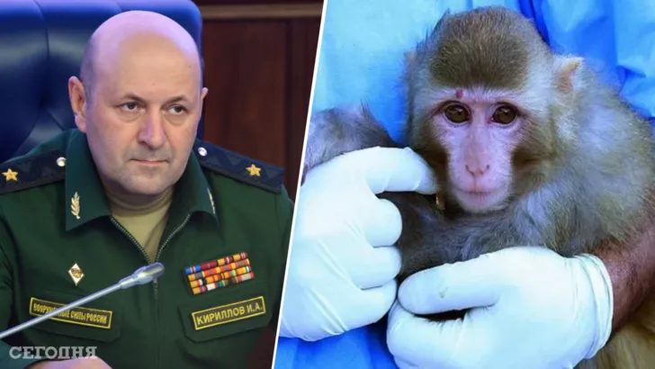 Игорь Кириллов выступил с неожиданным заявлением относительно распространения оспы обезьян